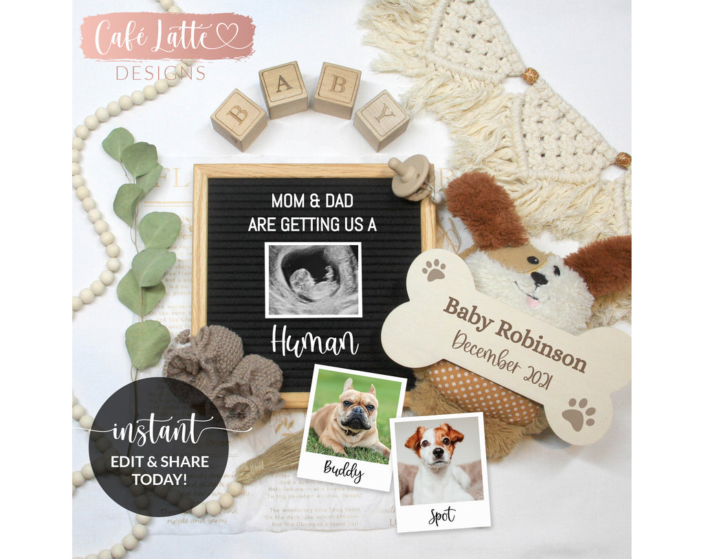 Editable Dog Pregnancy Announcement Social Media, Animal, Getting Us a Human, Gender Neutral Boho Baby, Digital Printable Edit Yourself DIY