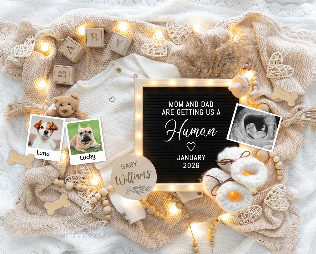 Dog Pregnancy announcement digital, Animal Pregnancy announcement to husband, Dogs Pregnancy announcement template, Pregnancy announcement grandparents, Pregnancy reveal, Pregnancy announcement gift, Neutral little bear pampas lighted letterboard, Mom and dad are getting us a human, Pet pregnancy reveal ideas, Original pregnancy announcement ideas, 2 dogs baby reveal editable template, instant download
